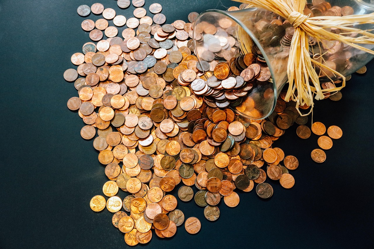 Budget Implementation and Monitoring