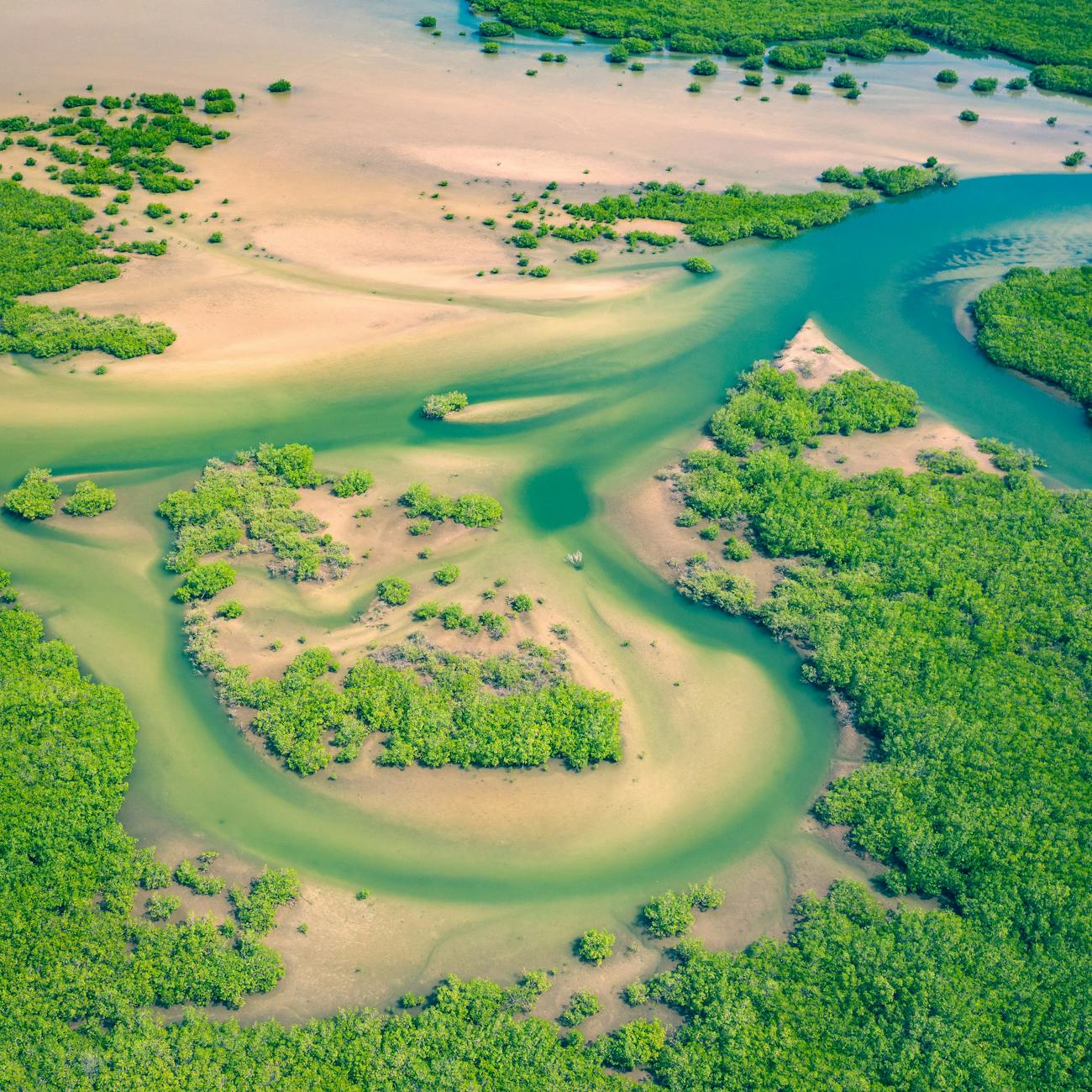Database Management in Excel for Environmental Impact