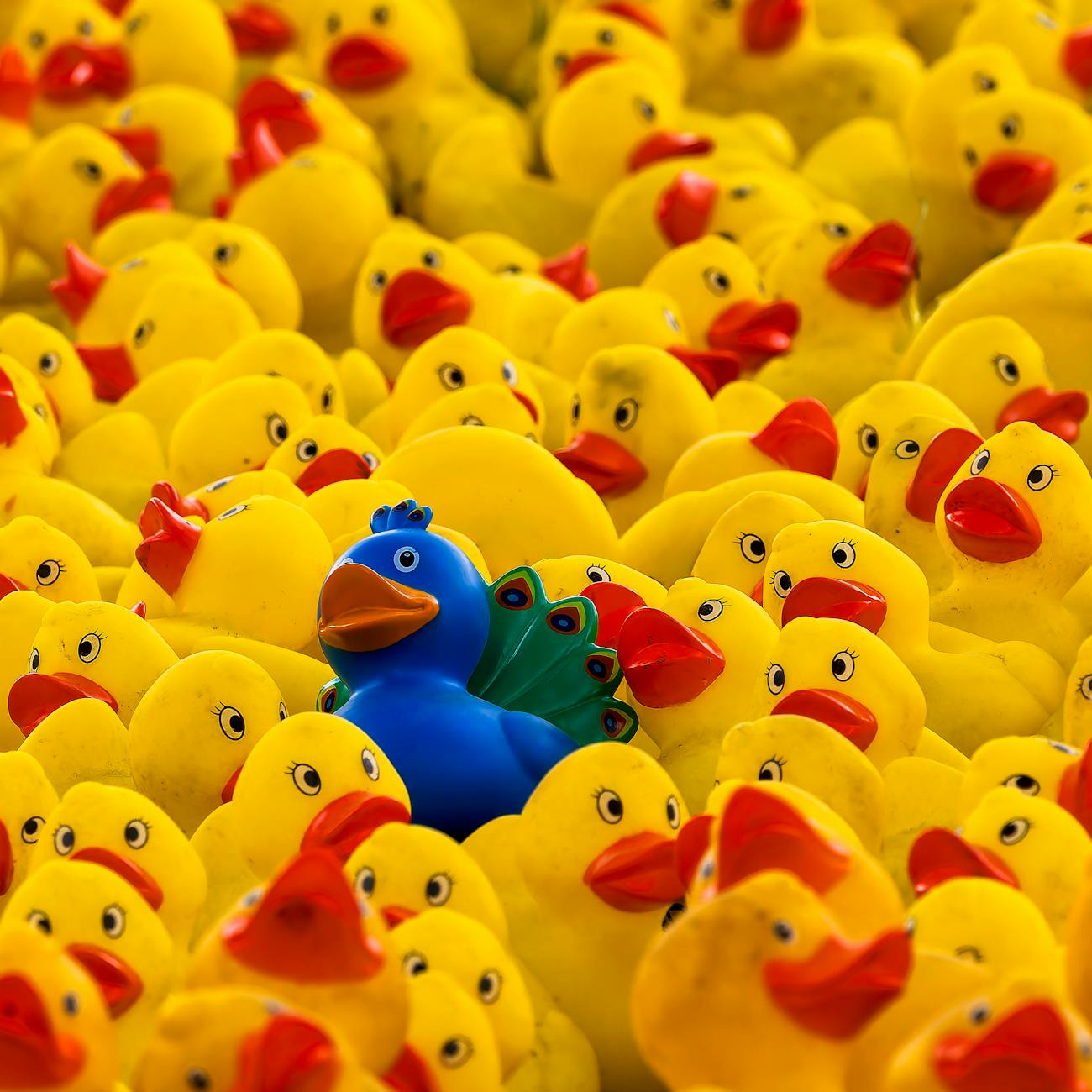 Understanding Individual Differences
