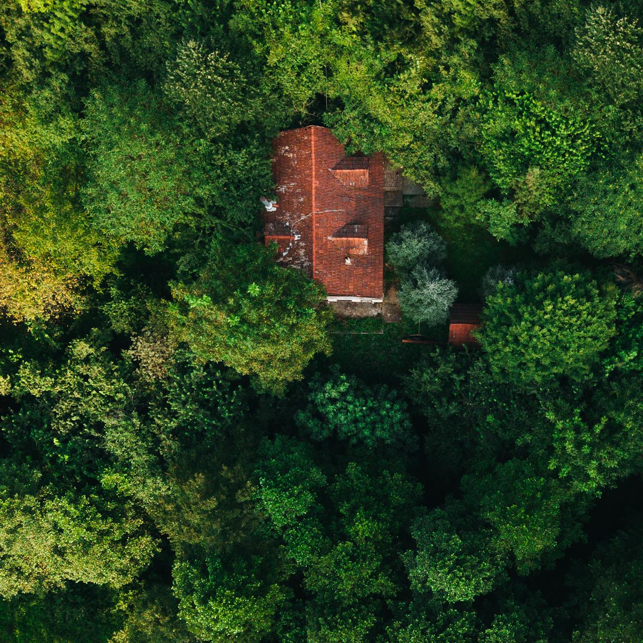 Psychological Aspects of Space and Place  