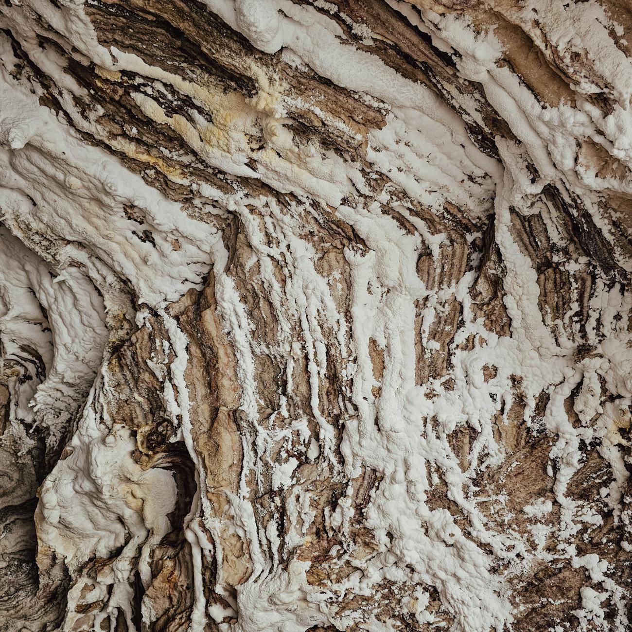 Mineral Policy and Governance  