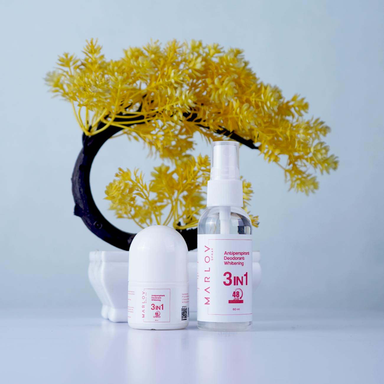 Provide support to meet personal care needs