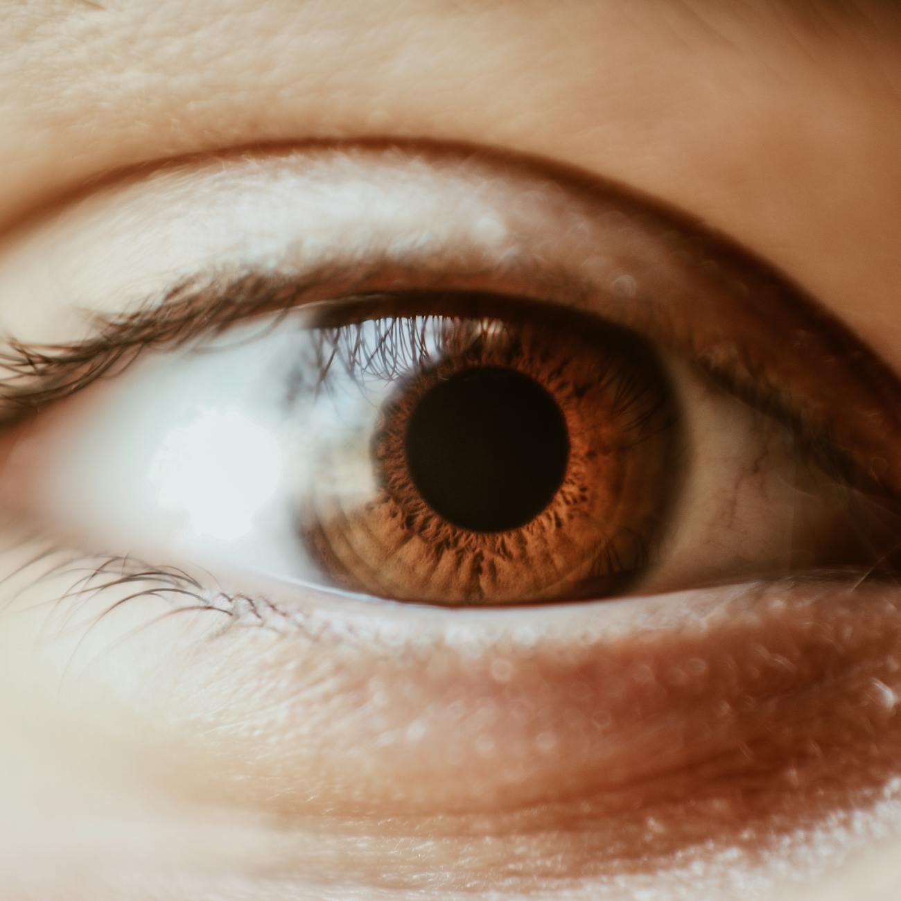Eye Tracking for Evaluating Multimedia Learning.