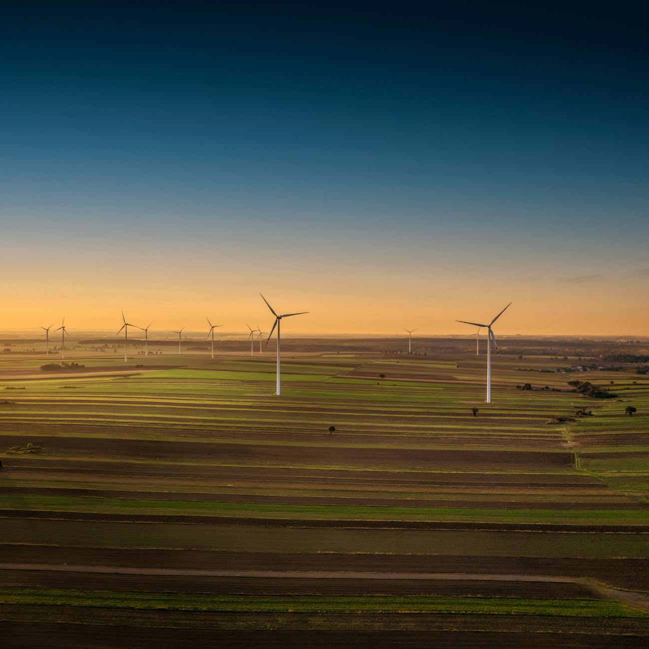 Energy Economics
