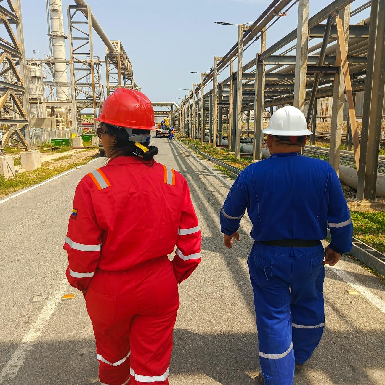 Sustainability in Strategic Partnerships