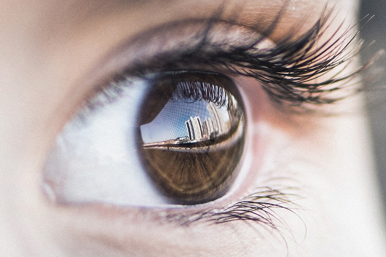 Computer Vision and Image Recognition