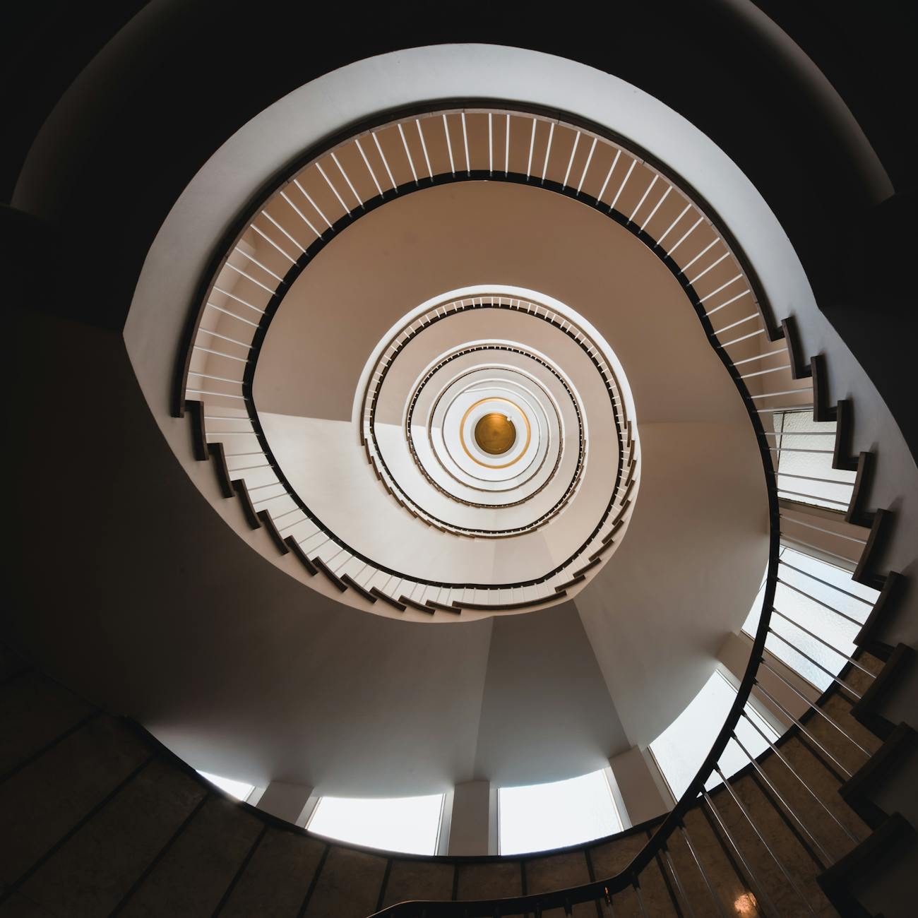 IP Litigation