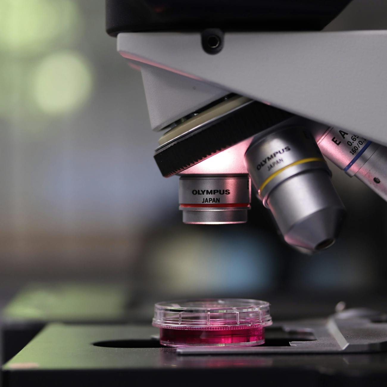 Quality Assurance in Allergy Testing