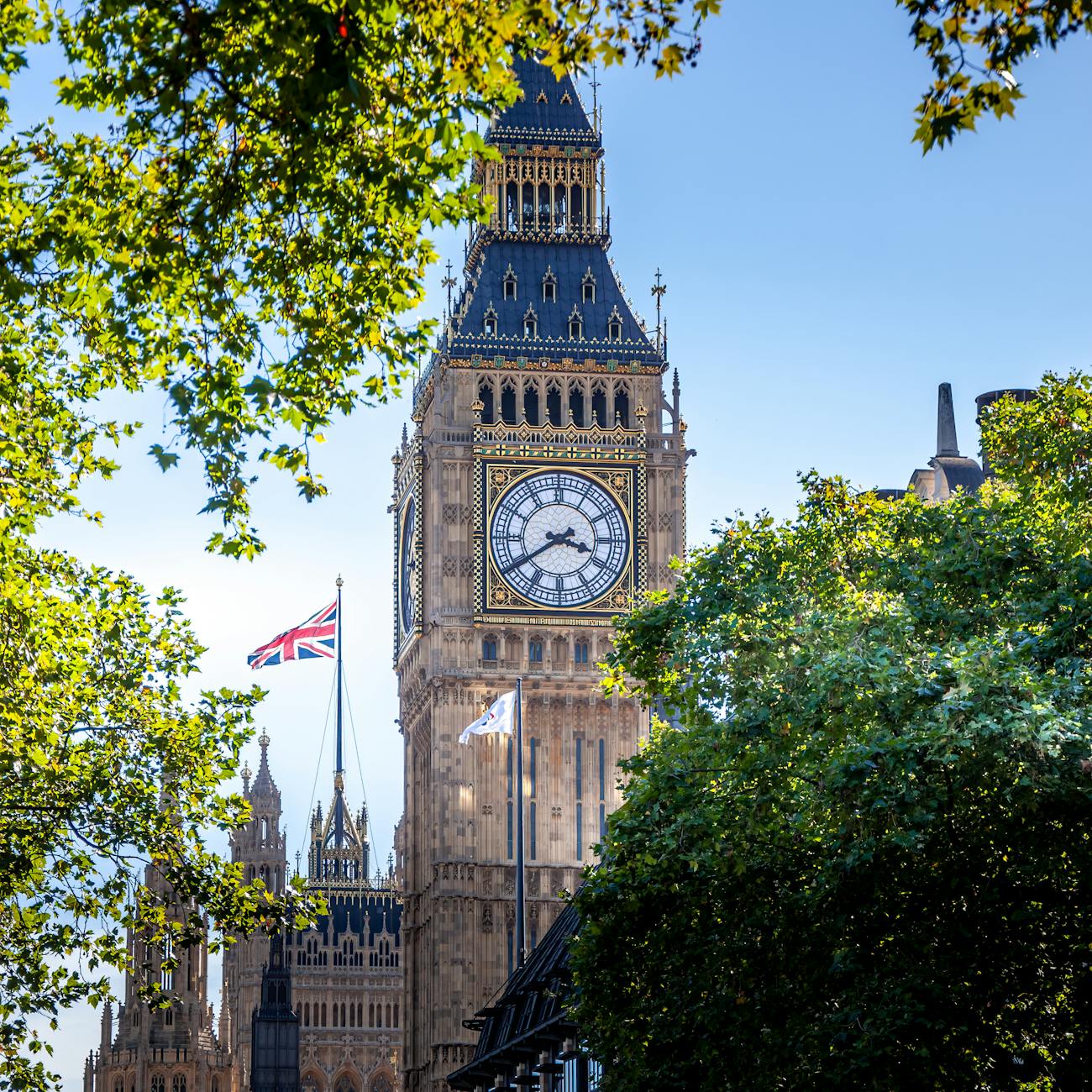Consumer Behavior and Insights (United Kingdom)
