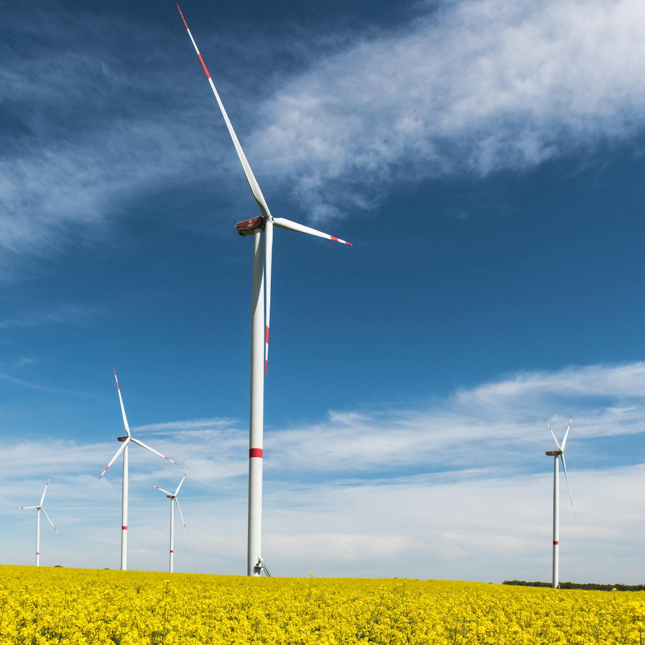 Climate Change and Energy Diplomacy