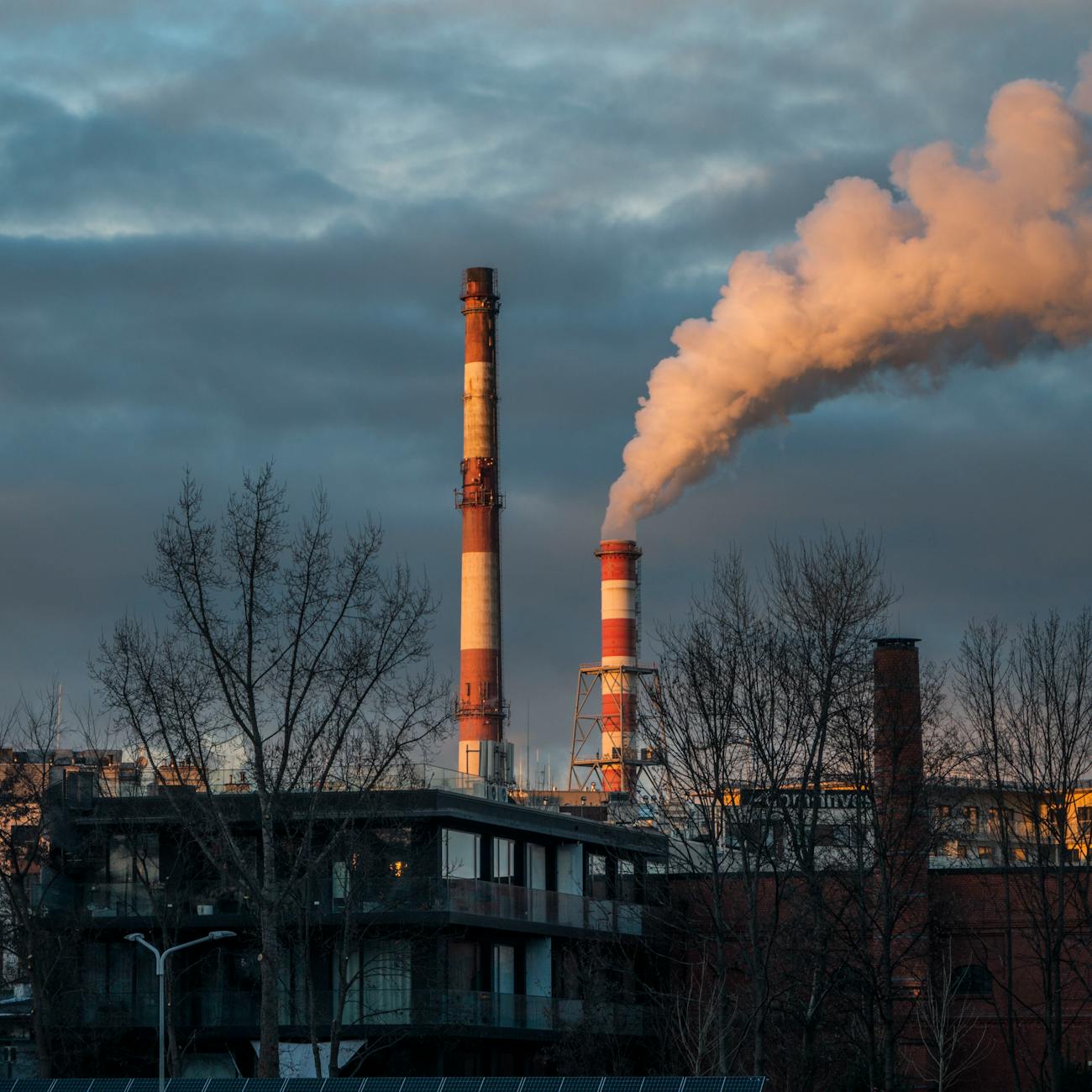 Carbon Footprint Reporting and Communication