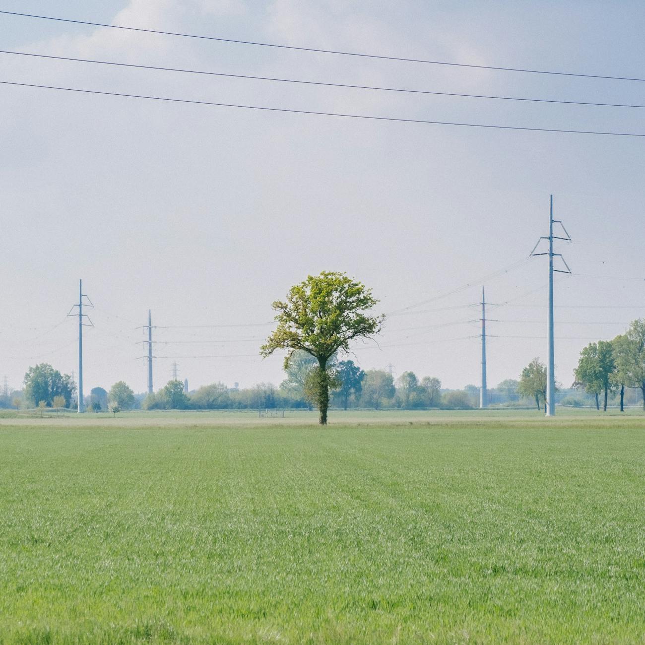 Renewable Energy Financing