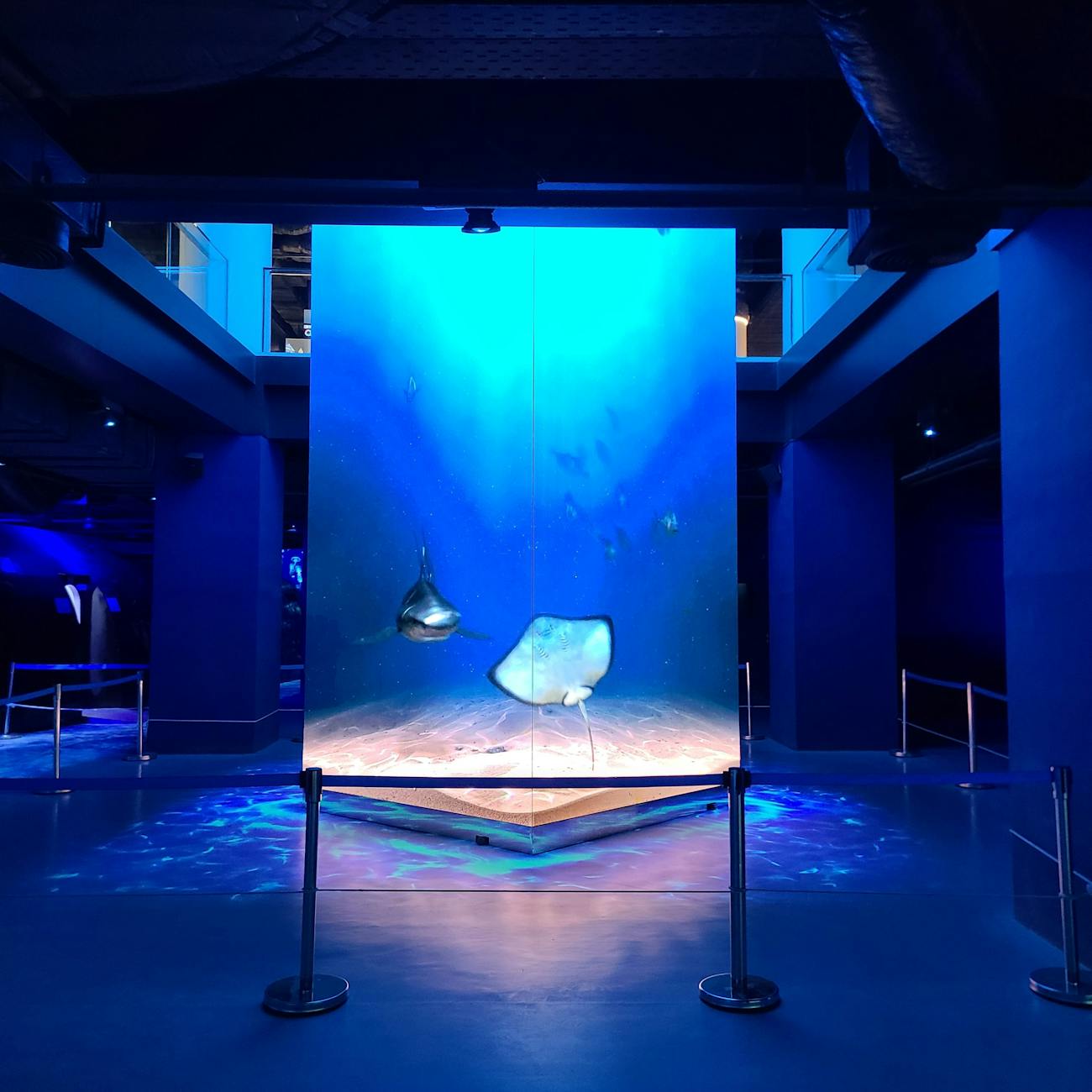 Exhibition Design and Installation