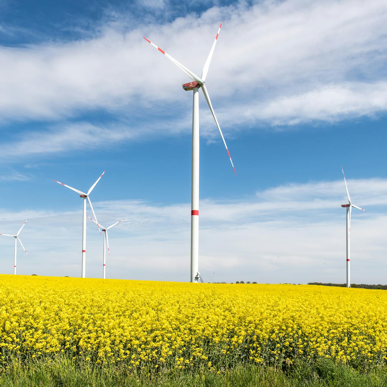 AI in Wind Energy Predictions
