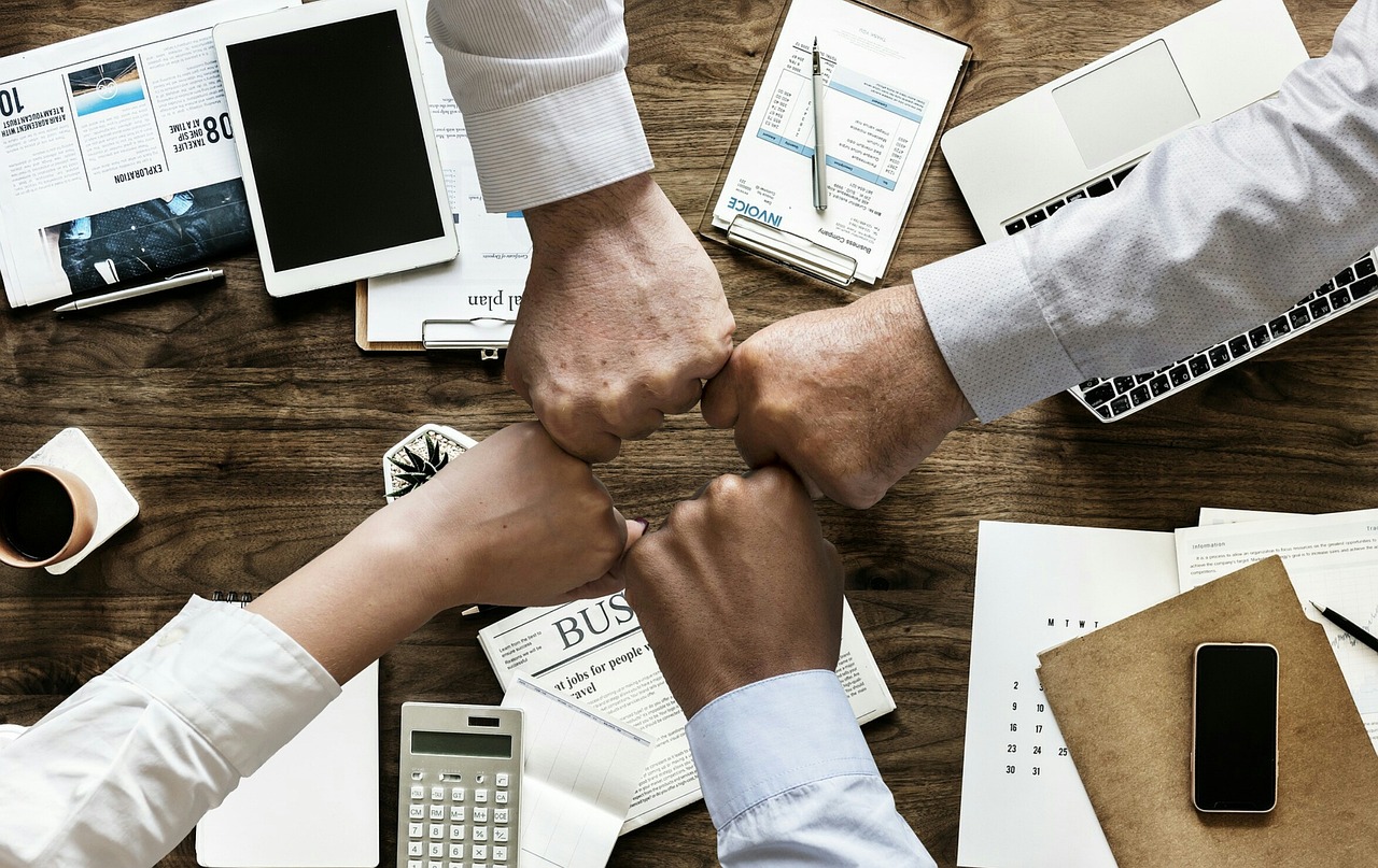 Business Strategy in the Pharmaceutical Industry