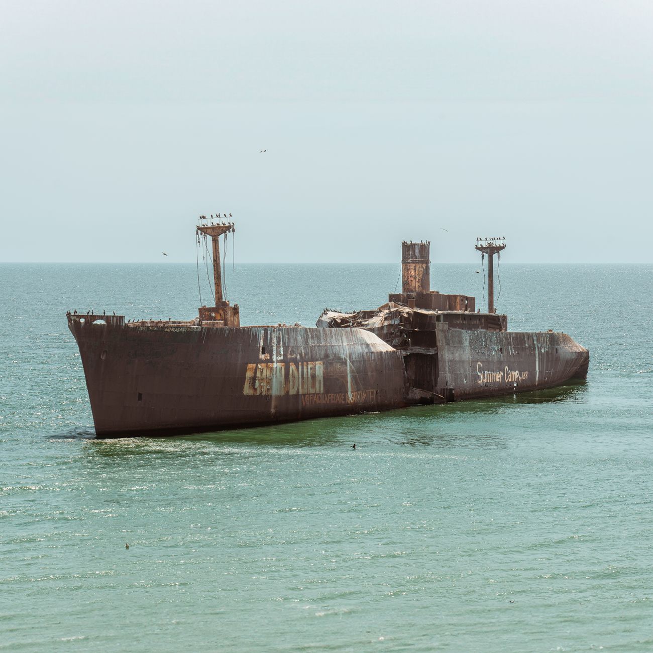 Marine Corrosion and Protection