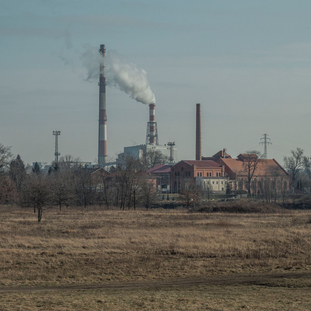 Energy Diplomacy in Developing Countries