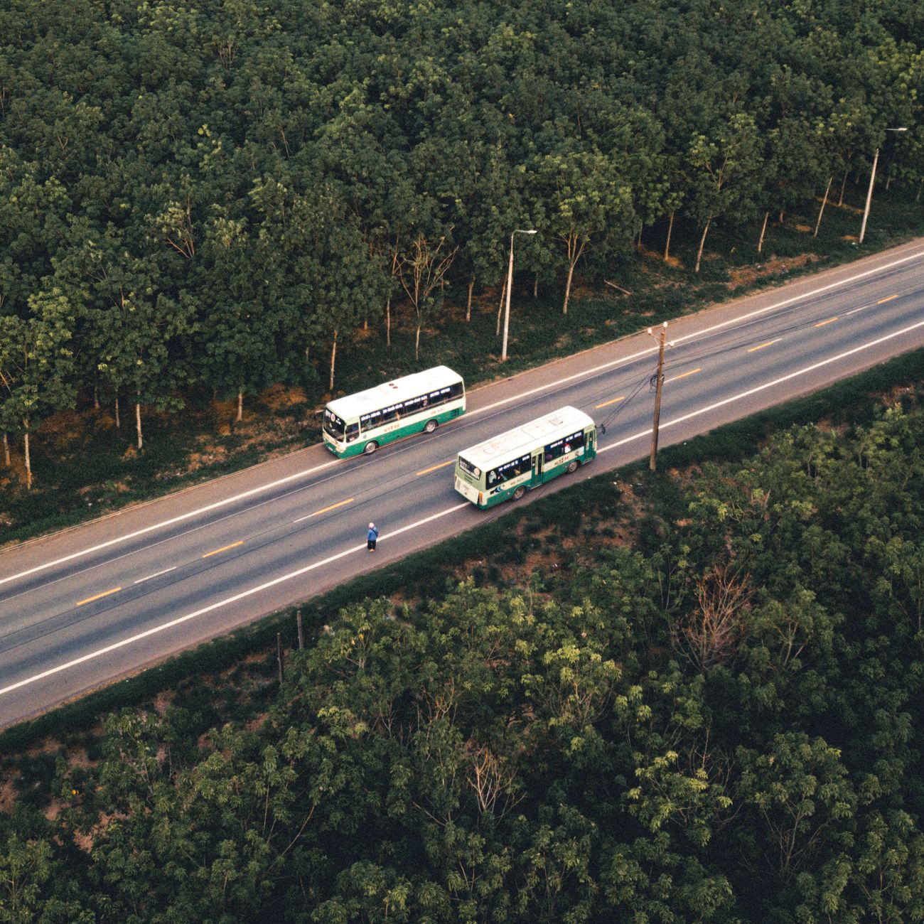 Transport Infrastructure Economics