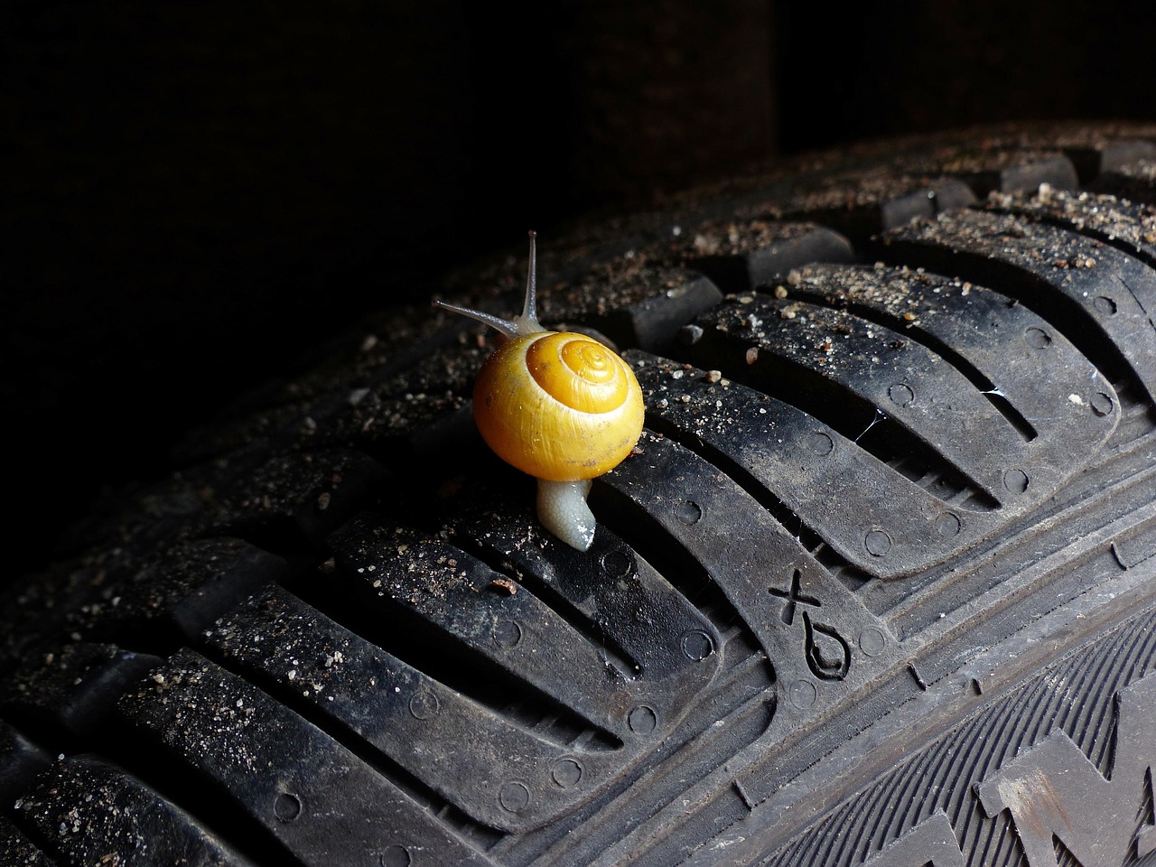 Space Insurance and Liability