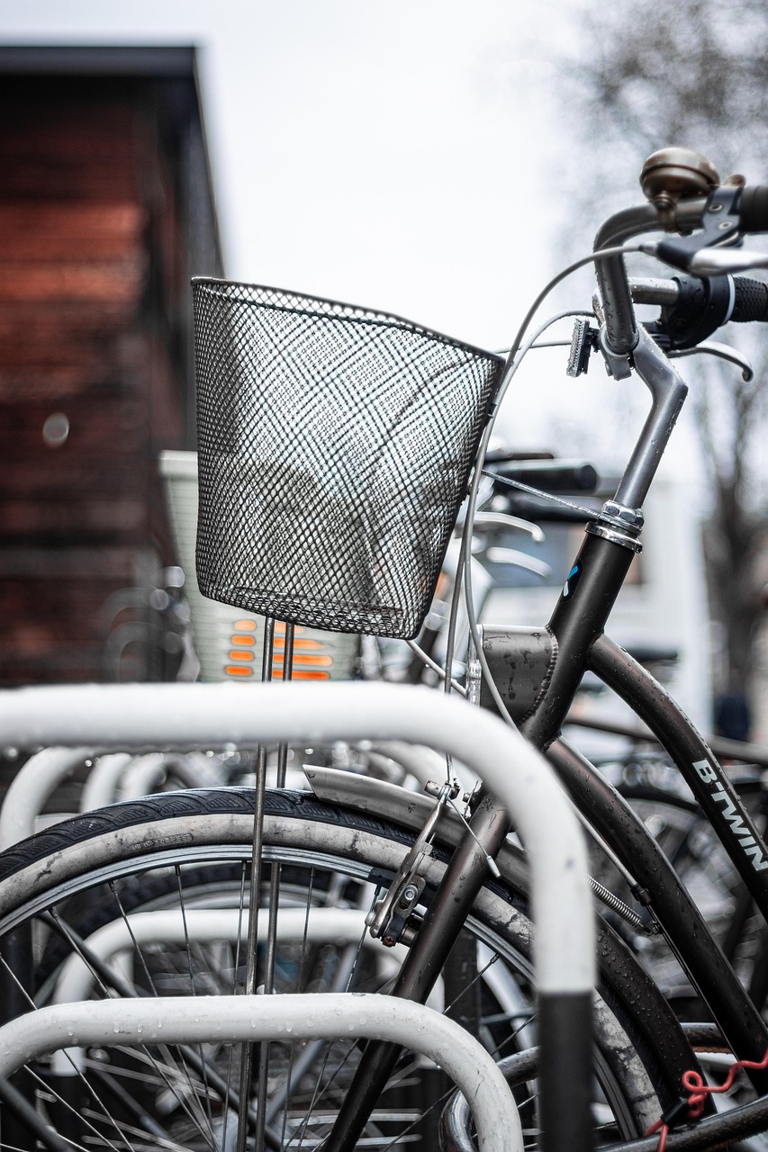 Eco-Friendly Transportation Solutions