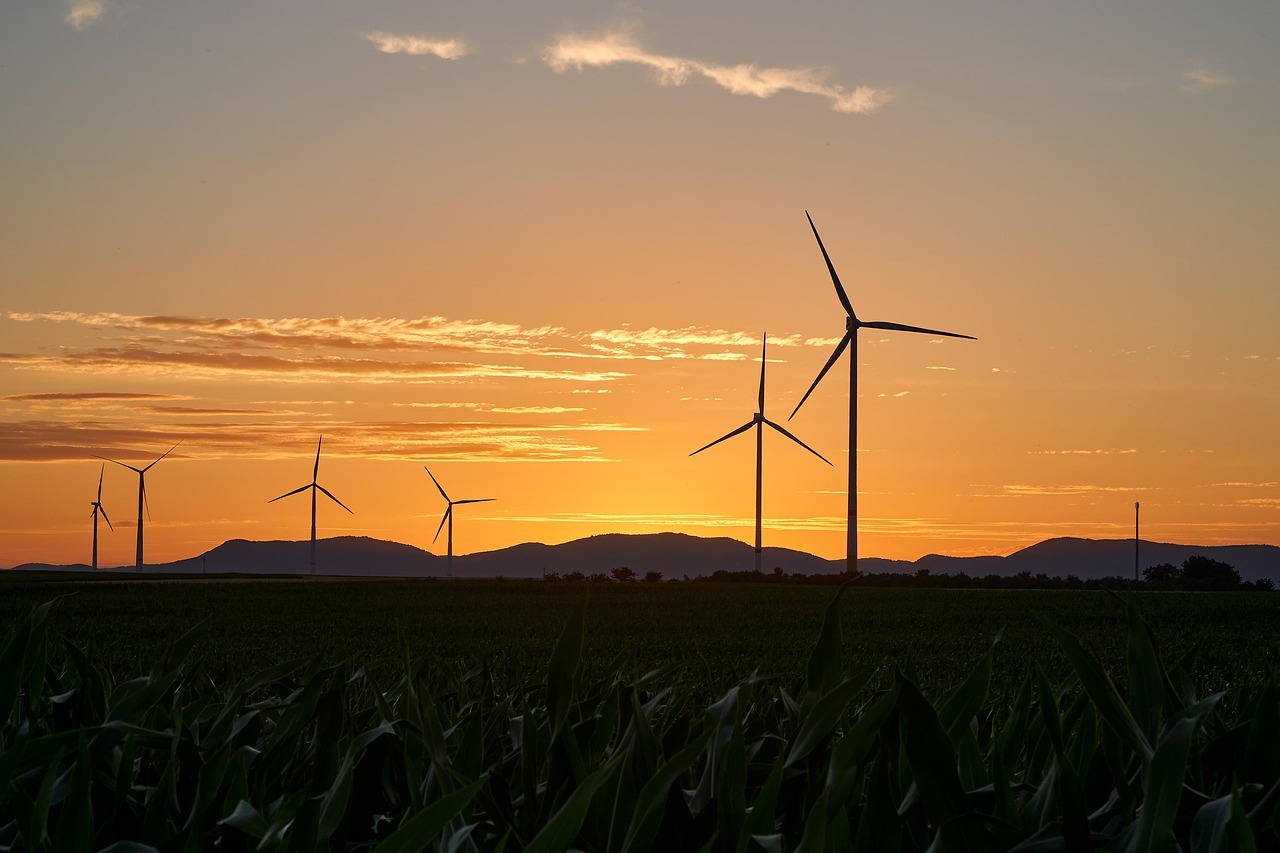 Autonomous Systems in Wind Farms