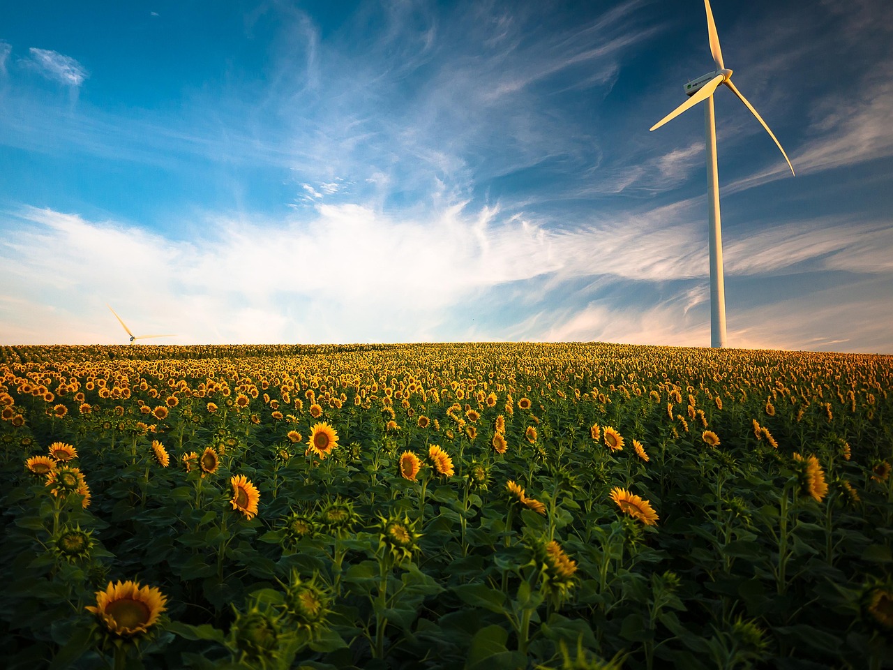 Introduction to AI and Renewable Energy