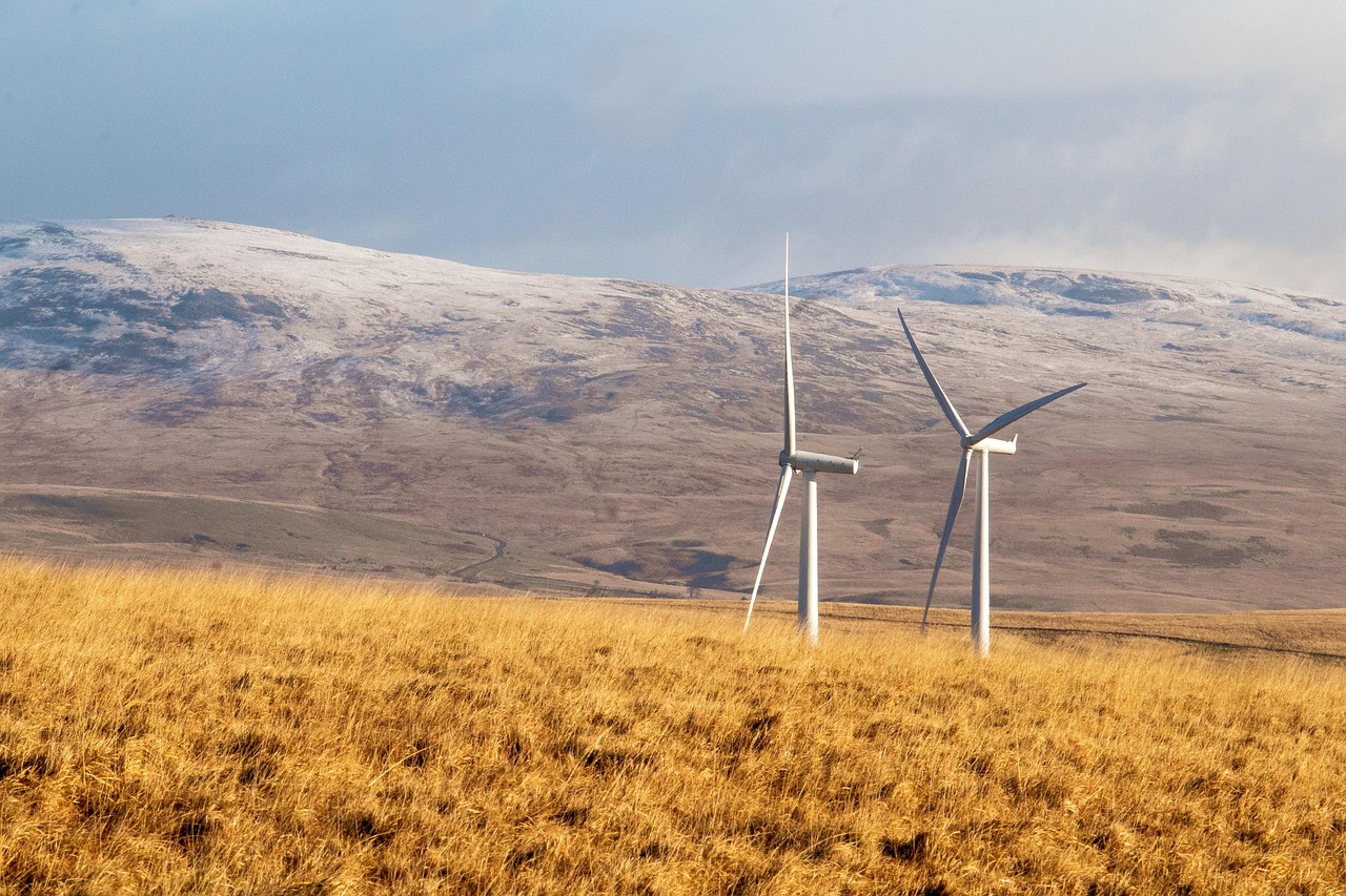 Autonomous Systems in Wind Farms